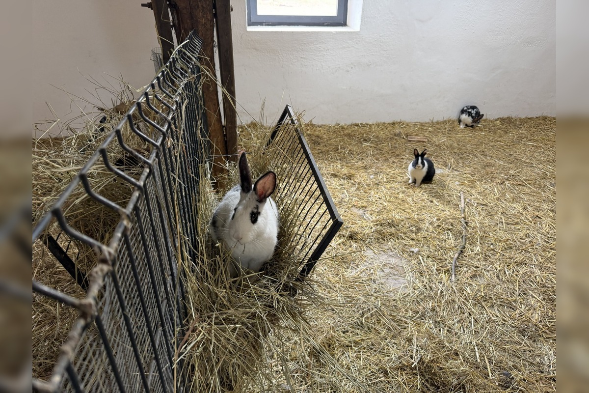 FOTO: V Nováčanoch otvorili Biofarmu, foto 6