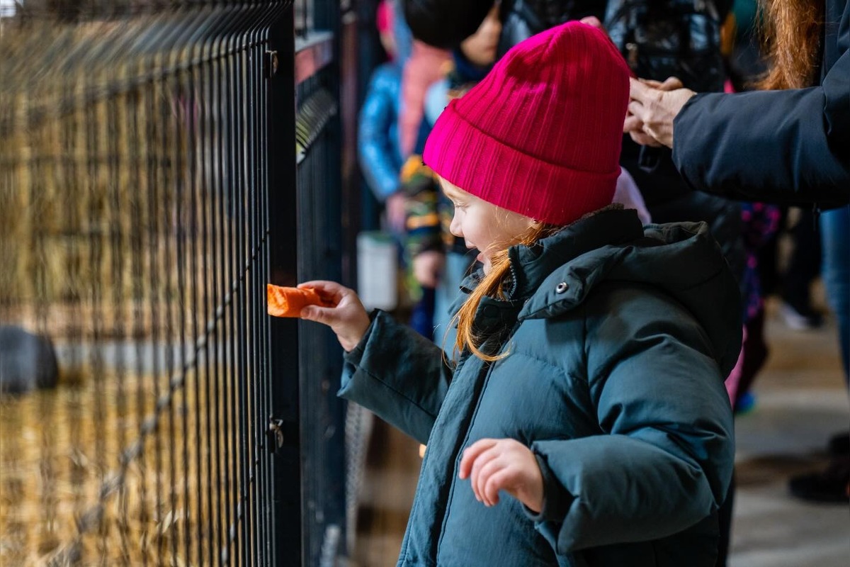 FOTO: V Nováčanoch otvorili Biofarmu, foto 12
