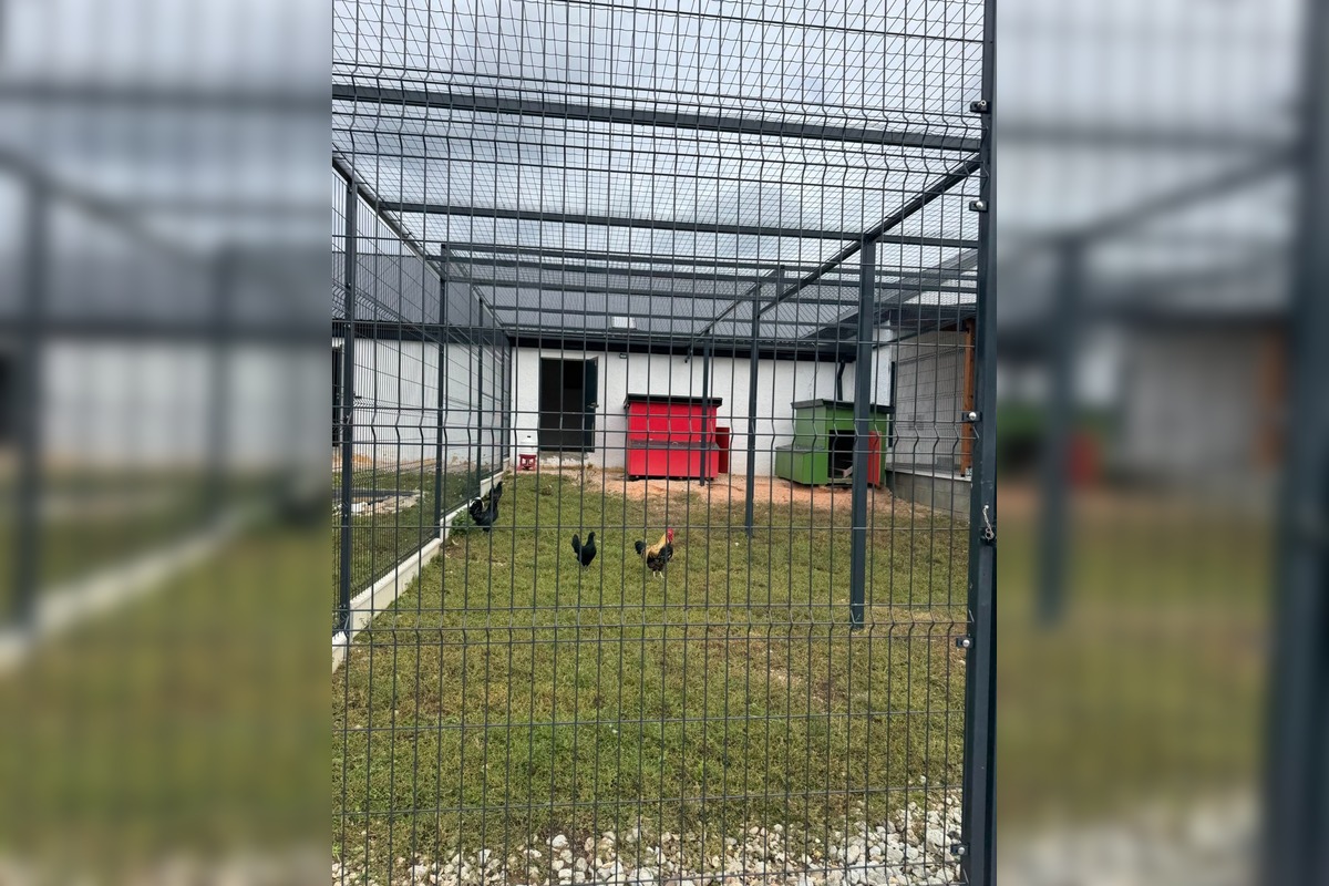 FOTO: V Nováčanoch otvorili Biofarmu, foto 8