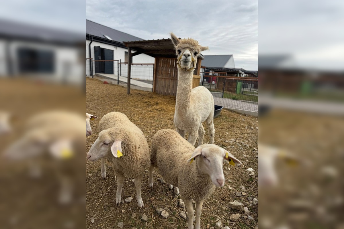 FOTO: V Nováčanoch otvorili Biofarmu, foto 16