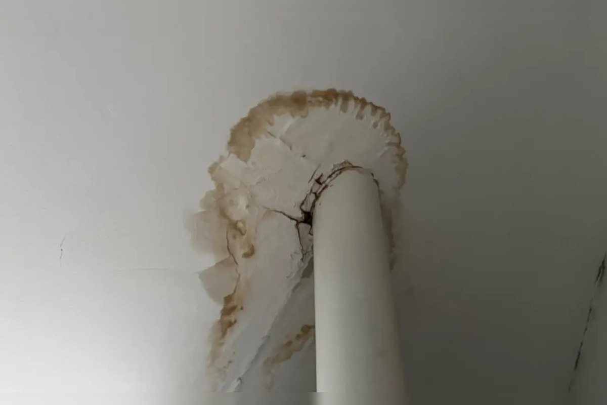 FOTO: Študenti košického gymnázia sa rozhodli konať a vytvorili zbierku na opravu strechy, foto 1