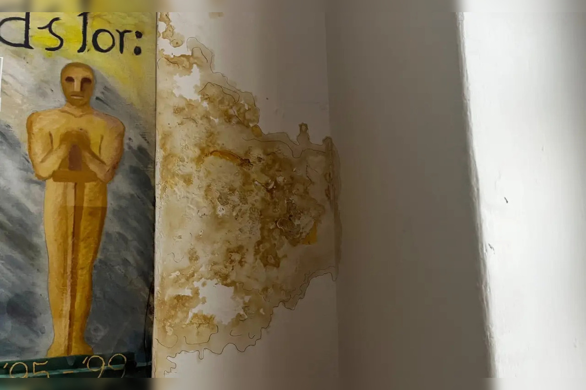 FOTO: Študenti košického gymnázia sa rozhodli konať a vytvorili zbierku na opravu strechy, foto 4