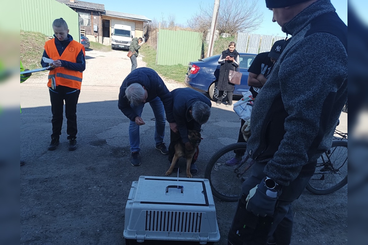 FOTO: V ďalších osadách na východe Slovenska prebehla kastrácia psov, foto 3