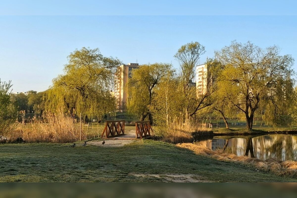 FOTO: Na košickom Jazere je jar aj tento rok nádherná, foto 3