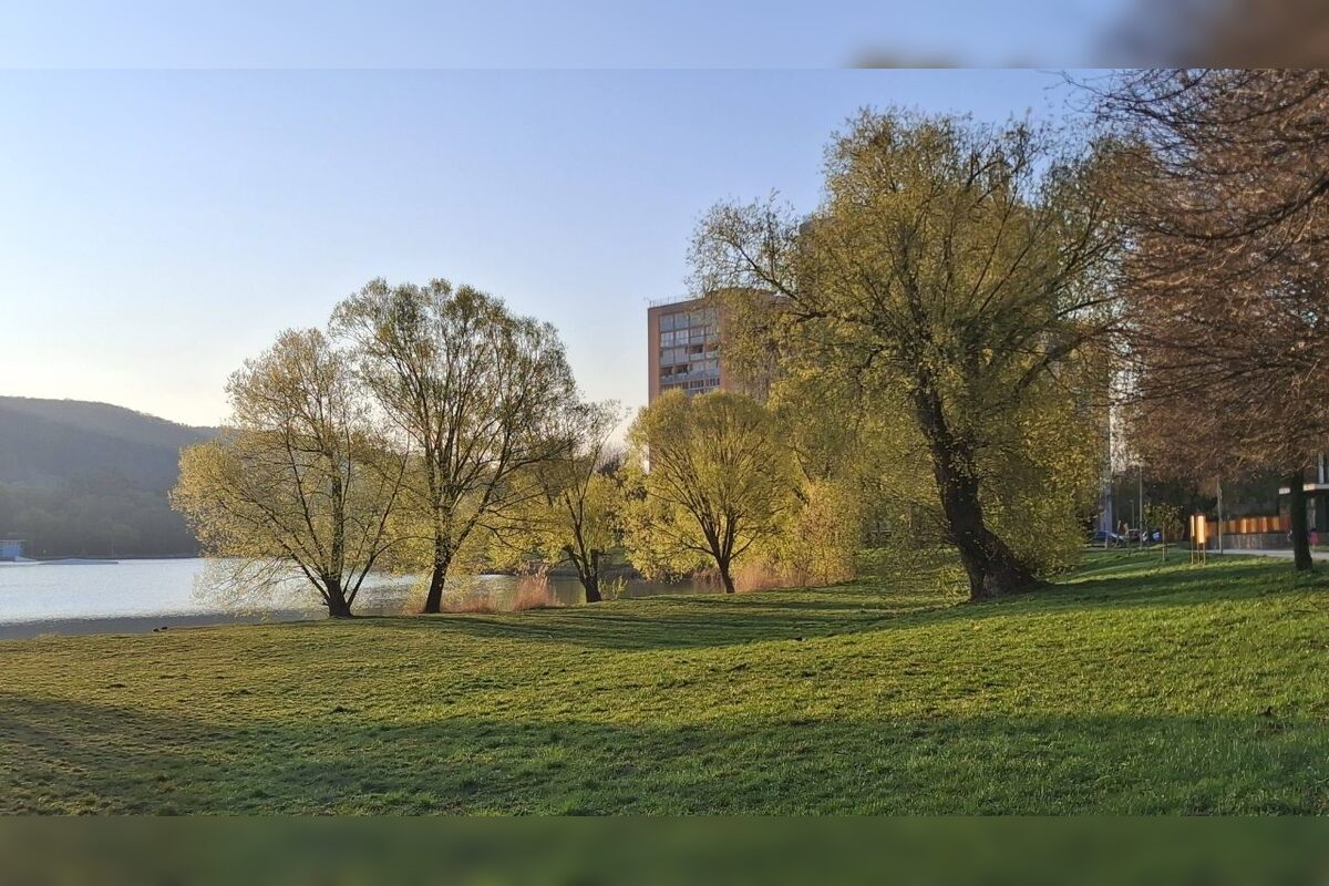 FOTO: Na košickom Jazere je jar aj tento rok nádherná, foto 5