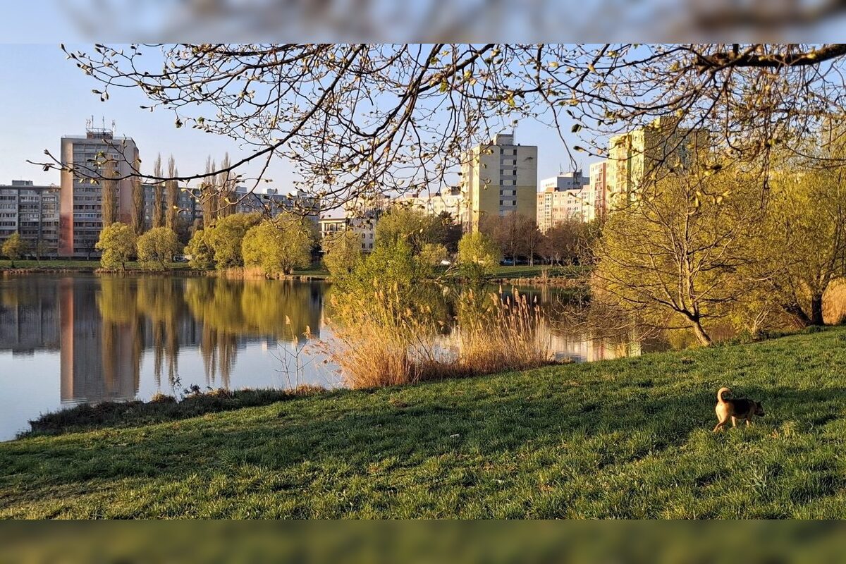 FOTO: Na košickom Jazere je jar aj tento rok nádherná, foto 7