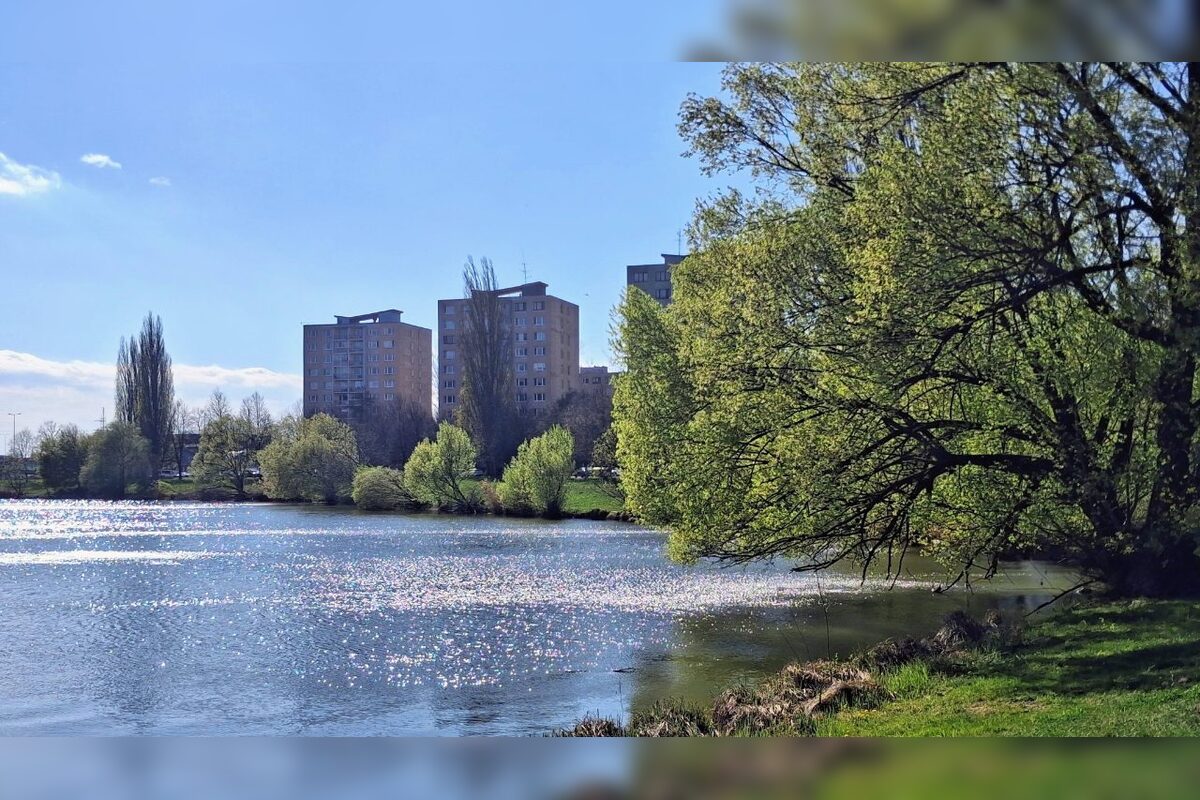 FOTO: Na košickom Jazere je jar aj tento rok nádherná, foto 9