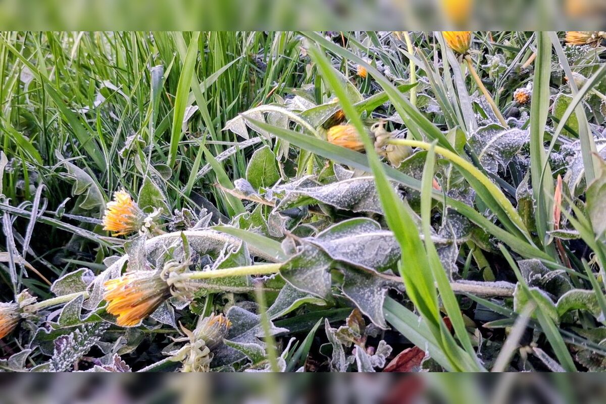 FOTO: Na košickom Jazere je jar aj tento rok nádherná, foto 10