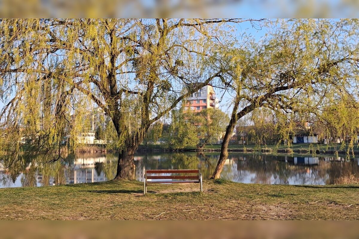 FOTO: Na košickom Jazere je jar aj tento rok nádherná, foto 13