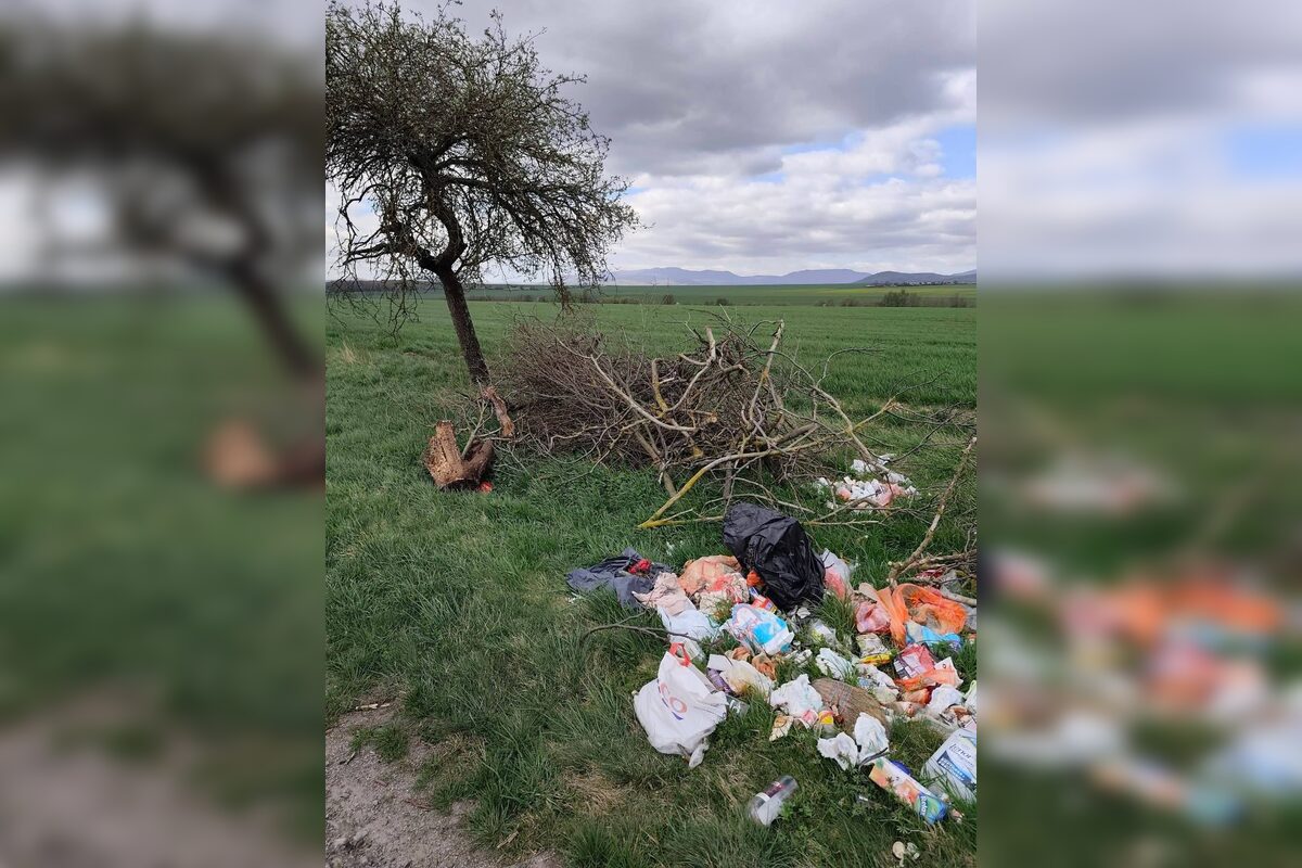 FOTO: Odpad pri cestách sa na dolnom Zemplíne stal bežnou súčasťou premávky, foto 2