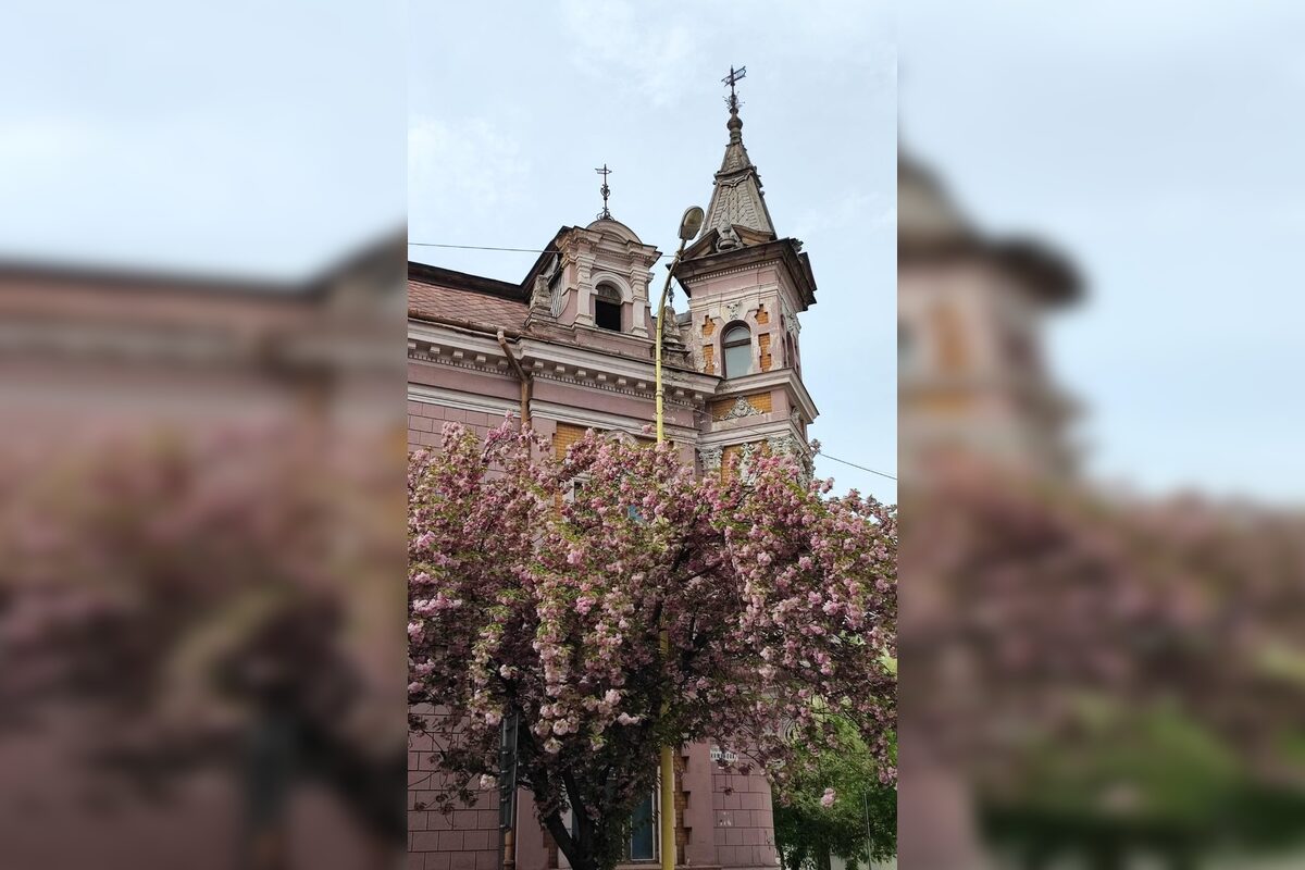 FOTO: Rozkvitnuté sakury v Košiciach vás prenesú do Japonska, foto 17