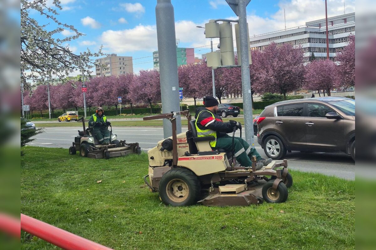 FOTO: Rozkvitnuté sakury v Košiciach vás prenesú do Japonska, foto 28