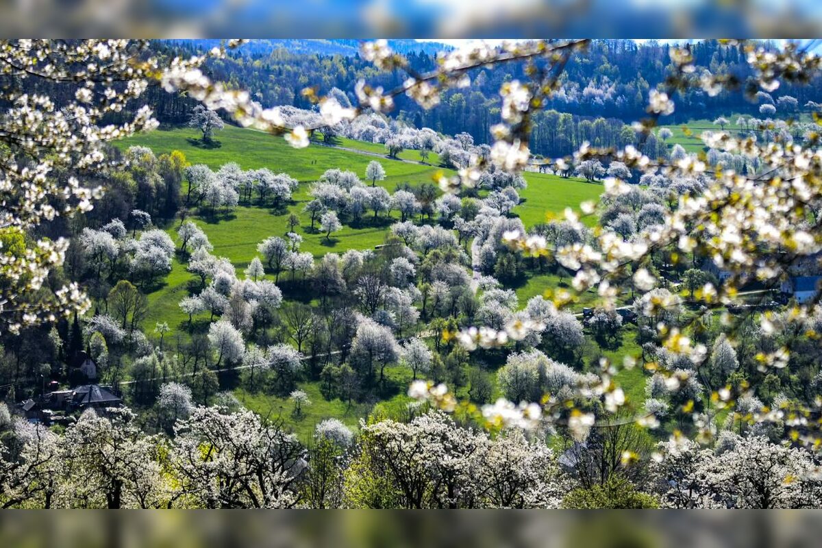 FOTO: Čerešňový raj Brdárka očami fotografa, foto 2