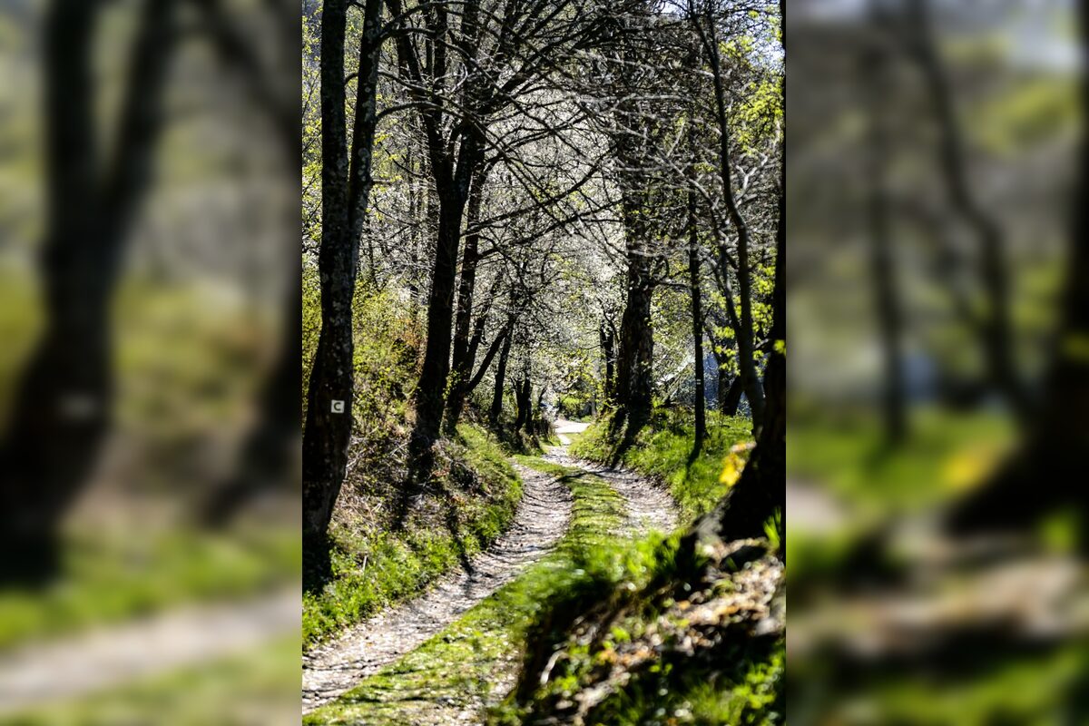 FOTO: Čerešňový raj Brdárka očami fotografa, foto 7