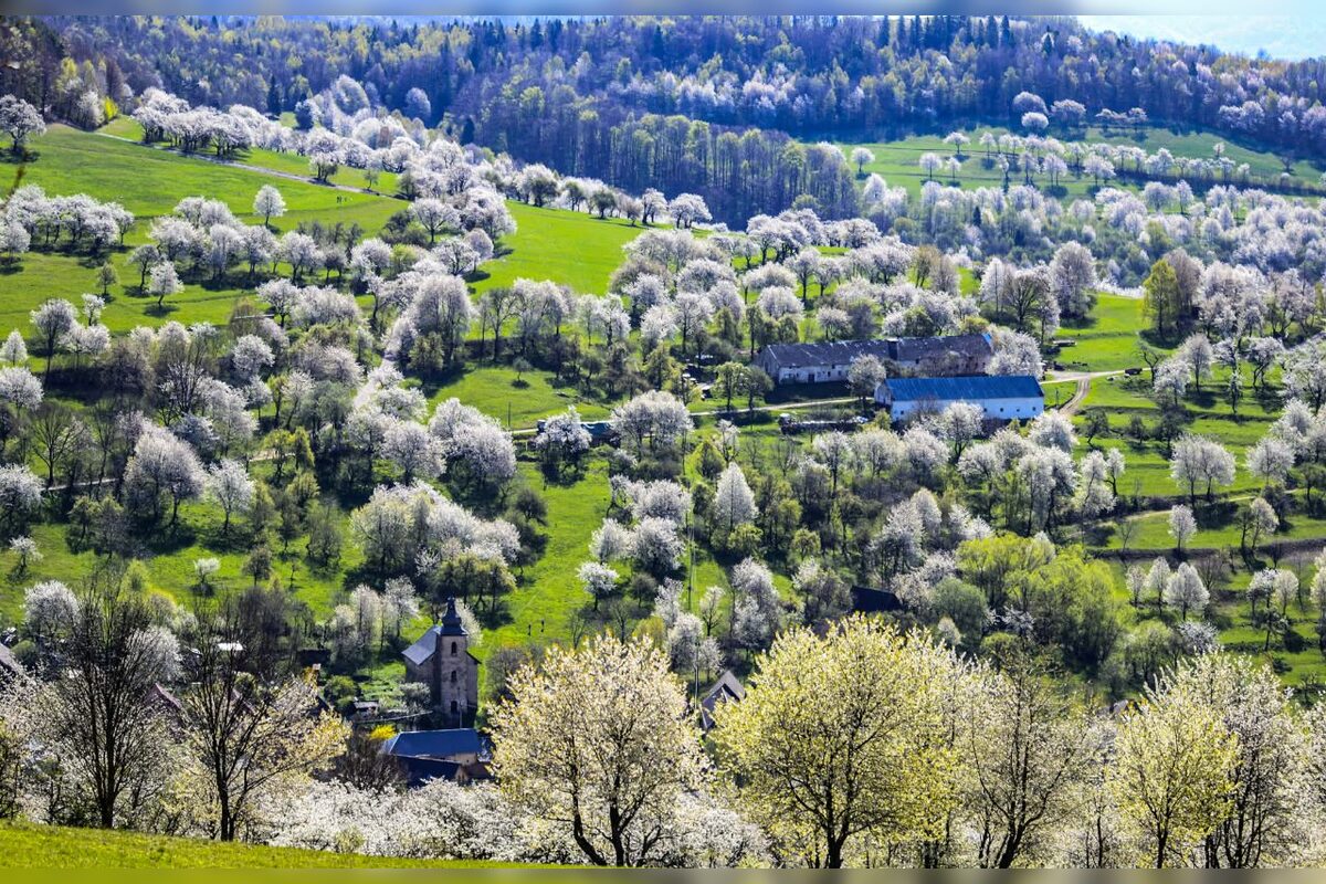FOTO: Čerešňový raj Brdárka očami fotografa, foto 11