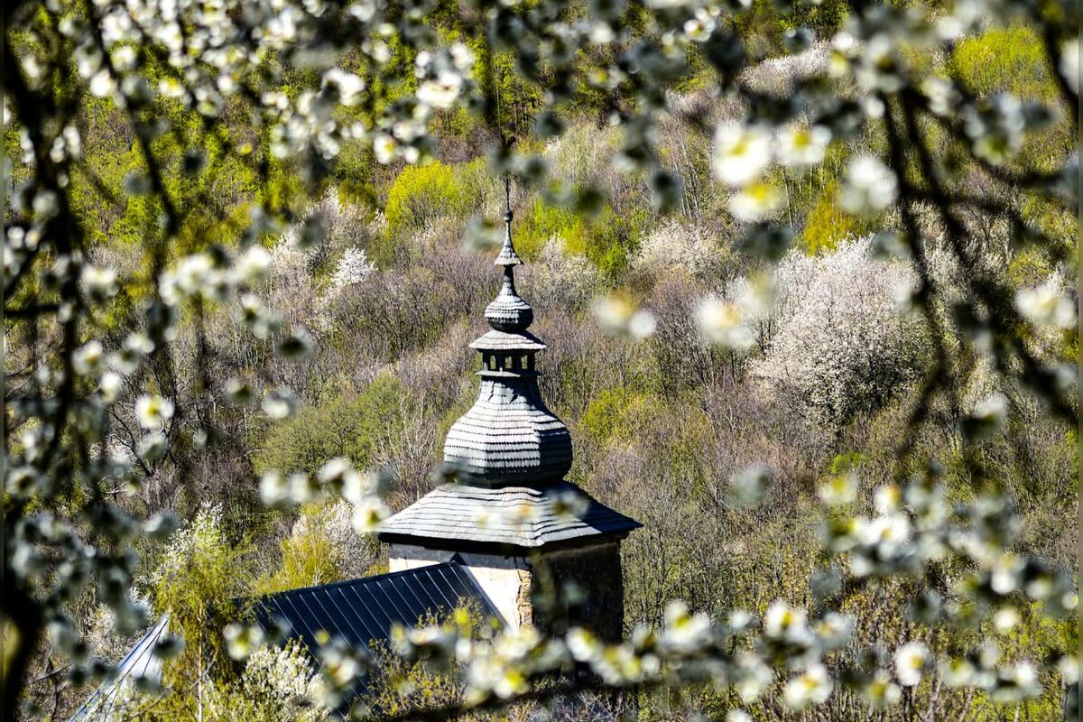 FOTO: Čerešňový raj Brdárka očami fotografa, foto 19
