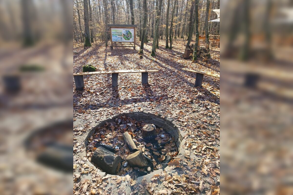 FOTO: Otvorenie kaviarne U lesných víl v Šaci, foto 2