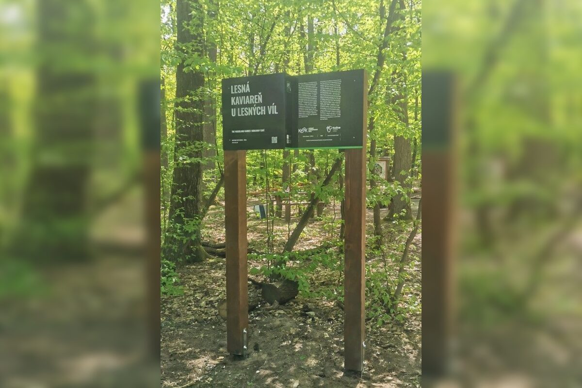 FOTO: Otvorenie kaviarne U lesných víl v Šaci, foto 4