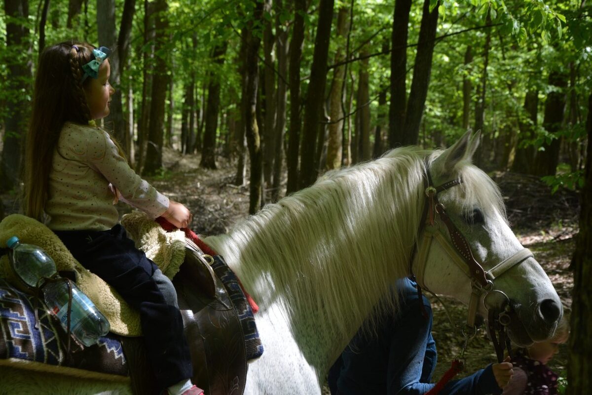 FOTO: Otvorenie kaviarne U lesných víl v Šaci, foto 8
