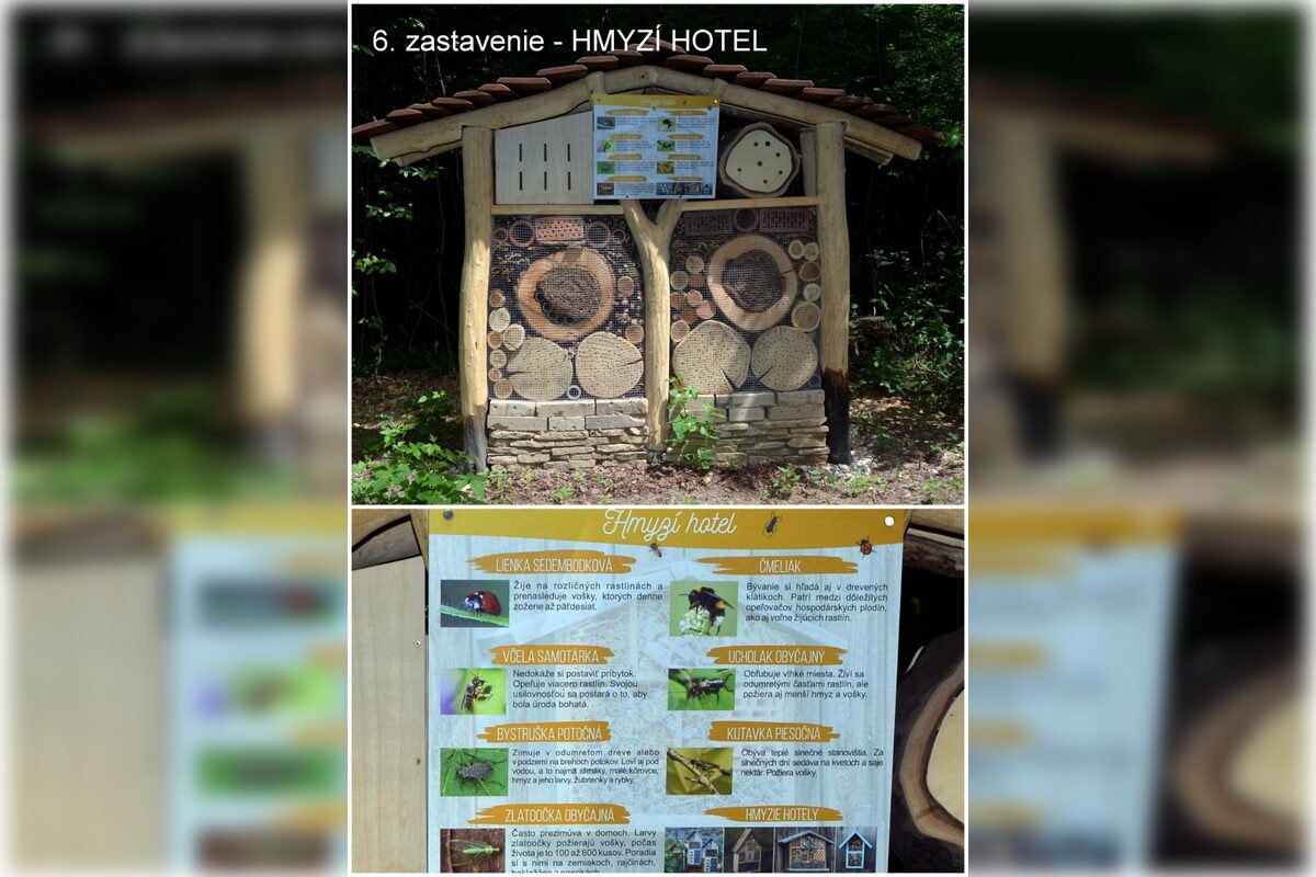 FOTO: Otvorenie kaviarne U lesných víl v Šaci, foto 24