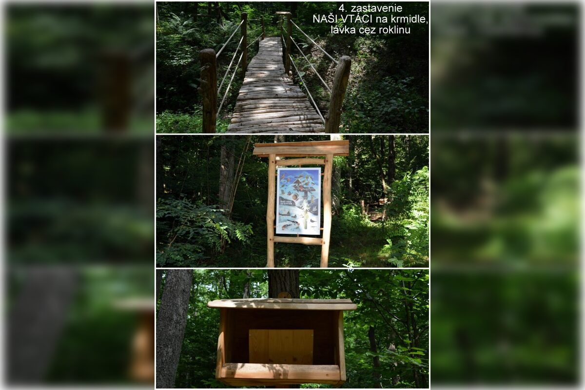 FOTO: Otvorenie kaviarne U lesných víl v Šaci, foto 27