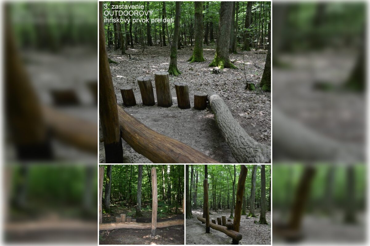 FOTO: Otvorenie kaviarne U lesných víl v Šaci, foto 28