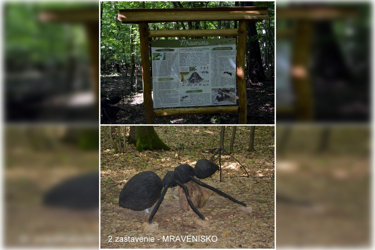 FOTO: Otvorenie kaviarne U lesných víl v Šaci, foto 29