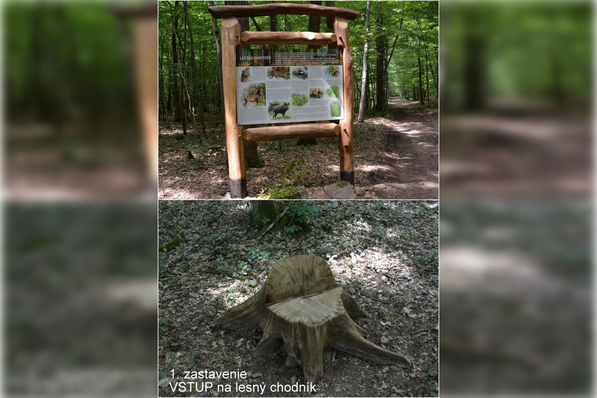 FOTO: Otvorenie kaviarne U lesných víl v Šaci, foto 30