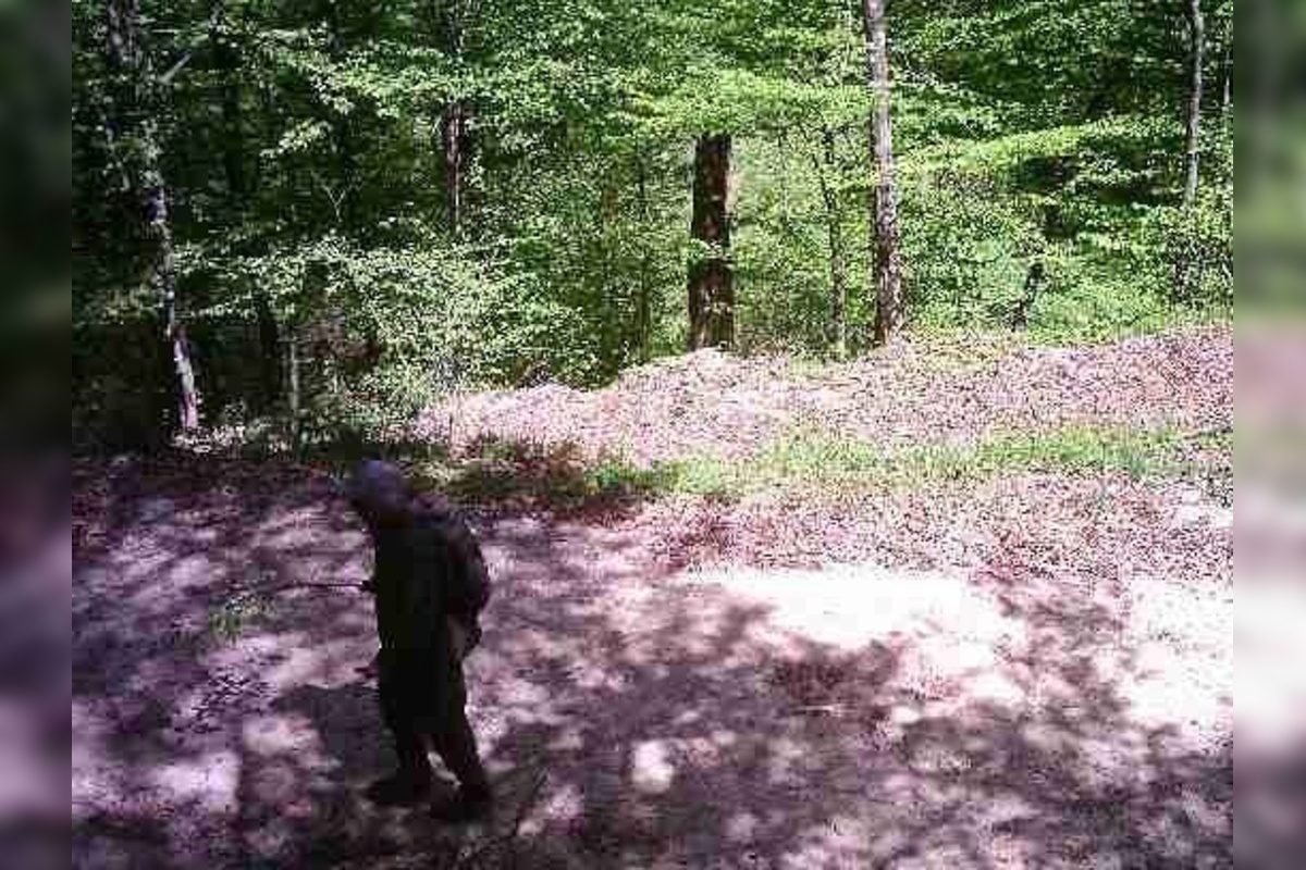 FOTO: Zásah na hraniciach v okrese Snina. Ukrajinský štátny príslušník je podozrivý z prevádzačstva, foto 3