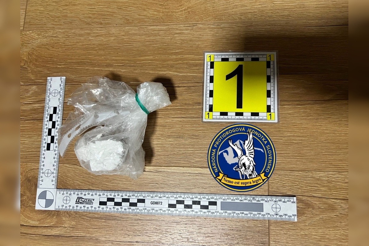 FOTO: Polícia rozložila drogovú organizáciu, foto 5