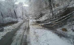 Sneženie na východnom Slovensku cez víkend