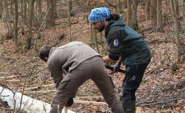 FOTO: Budovanie zábran v Slovenskom raji kvôli migrácii žiab