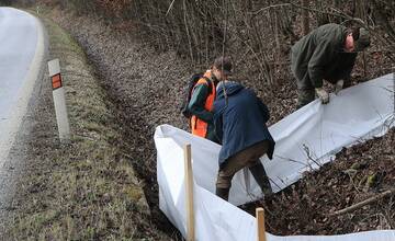 FOTO: Budovanie zábran v Slovenskom raji kvôli migrácii žiab