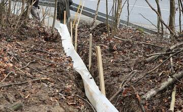 FOTO: Budovanie zábran v Slovenskom raji kvôli migrácii žiab