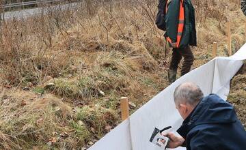 FOTO: Budovanie zábran v Slovenskom raji kvôli migrácii žiab
