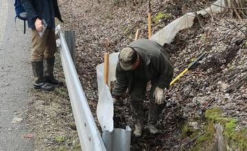FOTO: Budovanie zábran v Slovenskom raji kvôli migrácii žiab