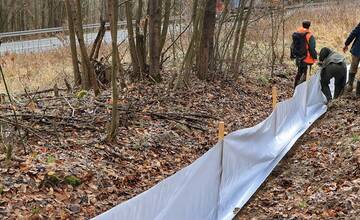 FOTO: Budovanie zábran v Slovenskom raji kvôli migrácii žiab