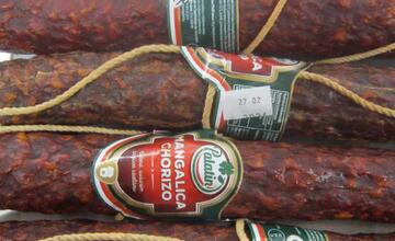 FOTO: Pleseň, exkrementy od hlodavcov aj potraviny po záruke. Toto sú najčastejšie nedostatky prevádzok