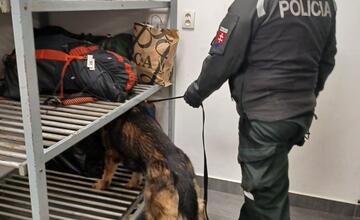 FOTO: Košickí policajti zamierili s kontrolami na železnice