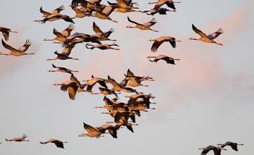 FOTO: Ocenené enviro projekty z Košického kraja