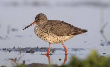 FOTO: Ocenené enviro projekty z Košického kraja