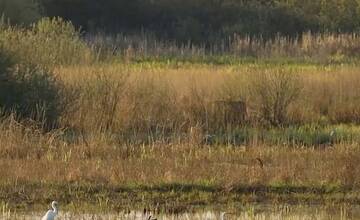 FOTO: Ocenené enviro projekty z Košického kraja