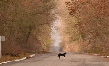 FOTO: Mestá duchov Černobyľ a Pripjať