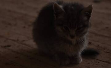 FOTO: Mestá duchov Černobyľ a Pripjať