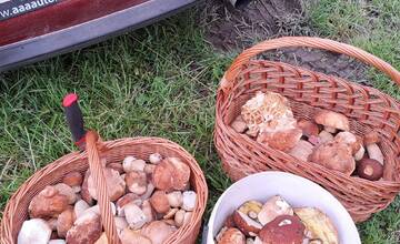 FOTO: Hubári sa tešia zo svojich úlovkov