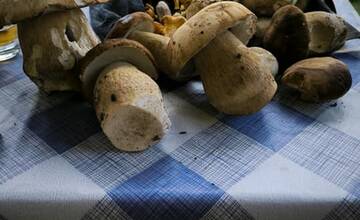 FOTO: Hubári sa tešia zo svojich úlovkov