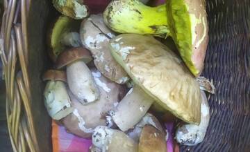 FOTO: Hubári sa tešia zo svojich úlovkov