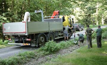 FOTO: Košické lesy zdobia nové vyrezávané lavičky z dreva