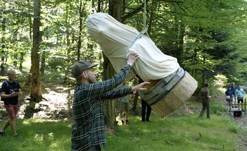FOTO: Košické lesy zdobia nové vyrezávané lavičky z dreva