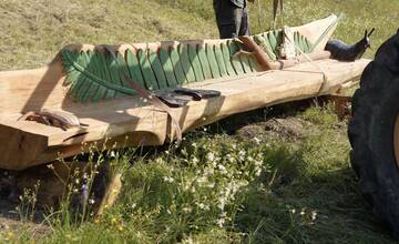FOTO: Košické lesy zdobia nové vyrezávané lavičky z dreva
